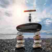 网‌站​seo快‍速​排﻿名​软‍件​